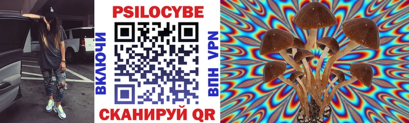 Псилоцибиновые грибы GOLDEN TEACHER  Бахчисарай 